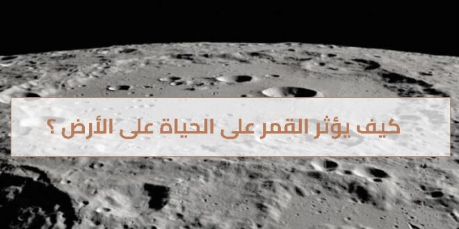 كيف يؤثر القمر على الحياة على الأرض ؟